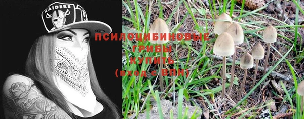 ешки Алзамай