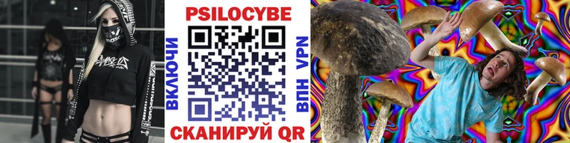 Галлюциногенные грибы мицелий  Красноярск 
